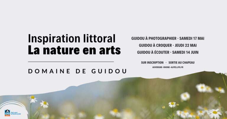 Inspiration littoral Nature en arts Au domaine de Guidou